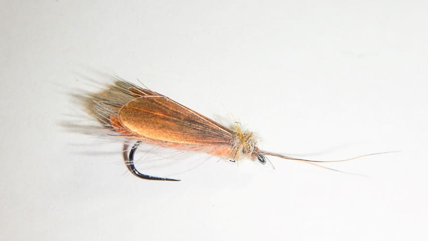 Realistic Skittering Caddis
