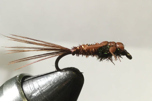 Rubber Legs Pheasant Tail Nymph