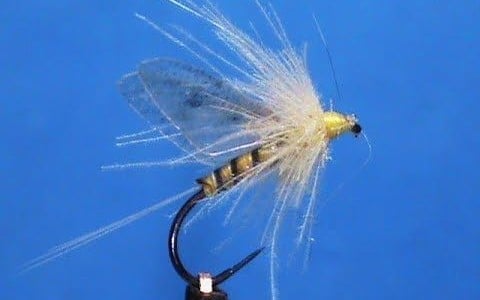 Semi Realistic Sulphur tied by Jim Misiura