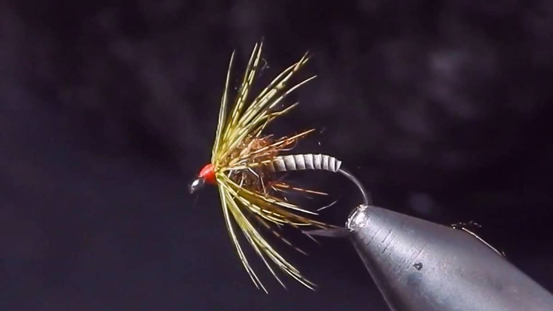 Fly Tying with Corey: Soft Hackle