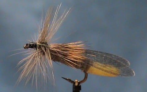 Stimulator Fly by Jim Misiura tied with Hemingway's Tube Body Stimulators