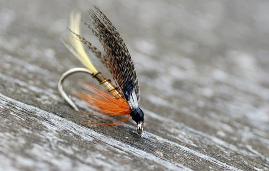 Streamer Flies and Why Fish Strike at Them
