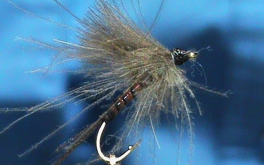Synthetic Quill CDC Emerger tied by Jim Misiura