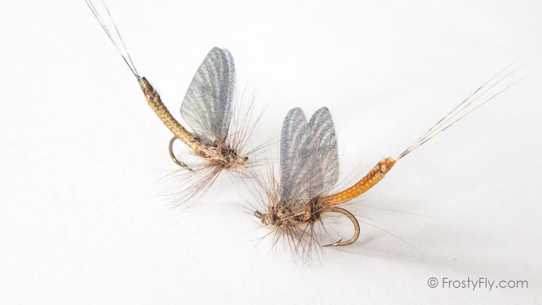 The Hendrickson Hatch - A Happy Time for a Fly Fisherman