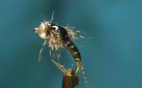UV Cure Mayfly Nymph by Jim Misiura