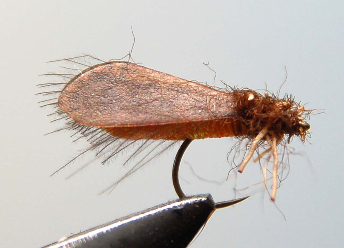 How to Tie Realistic Caddis Fly - Step 13