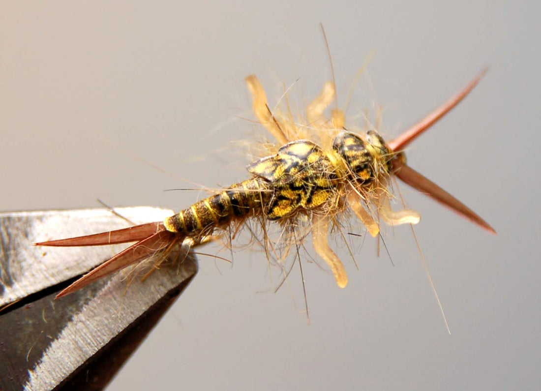 How to Tie Realistic Stonefly Nymph - Step 20