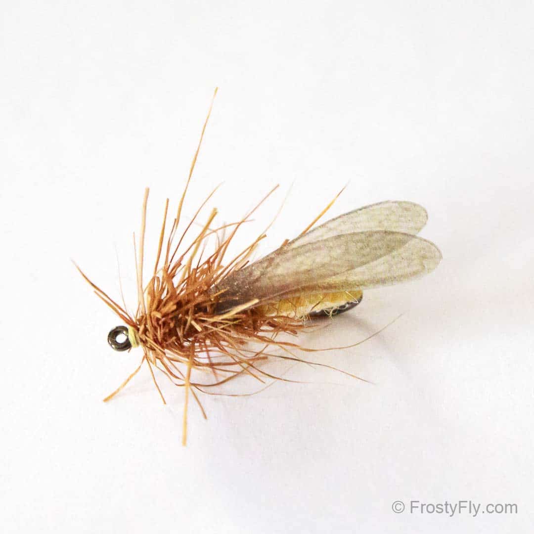 Stonefly Dry Pattern