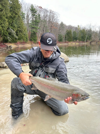 Fall Steelhead