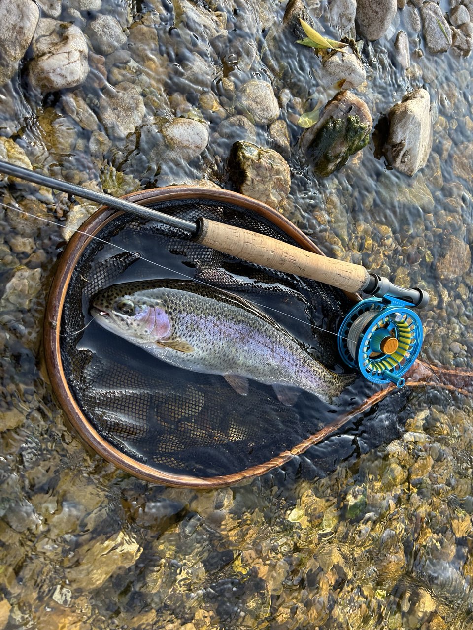 bulgarian world champion fly fishing lures First Cast Beginner Saltwater Assortment Sporting a 3.2mm (1/8) bead. Here's an introduction to the