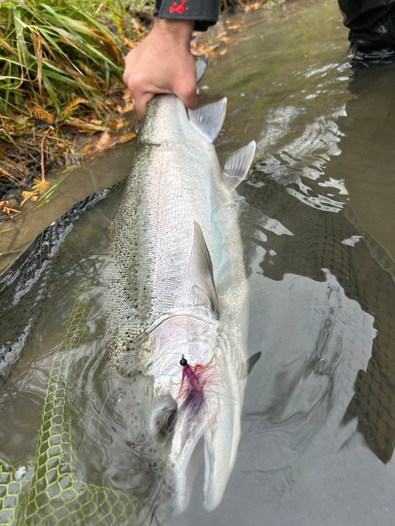 Tungsten Beadhead Woolly Bugger