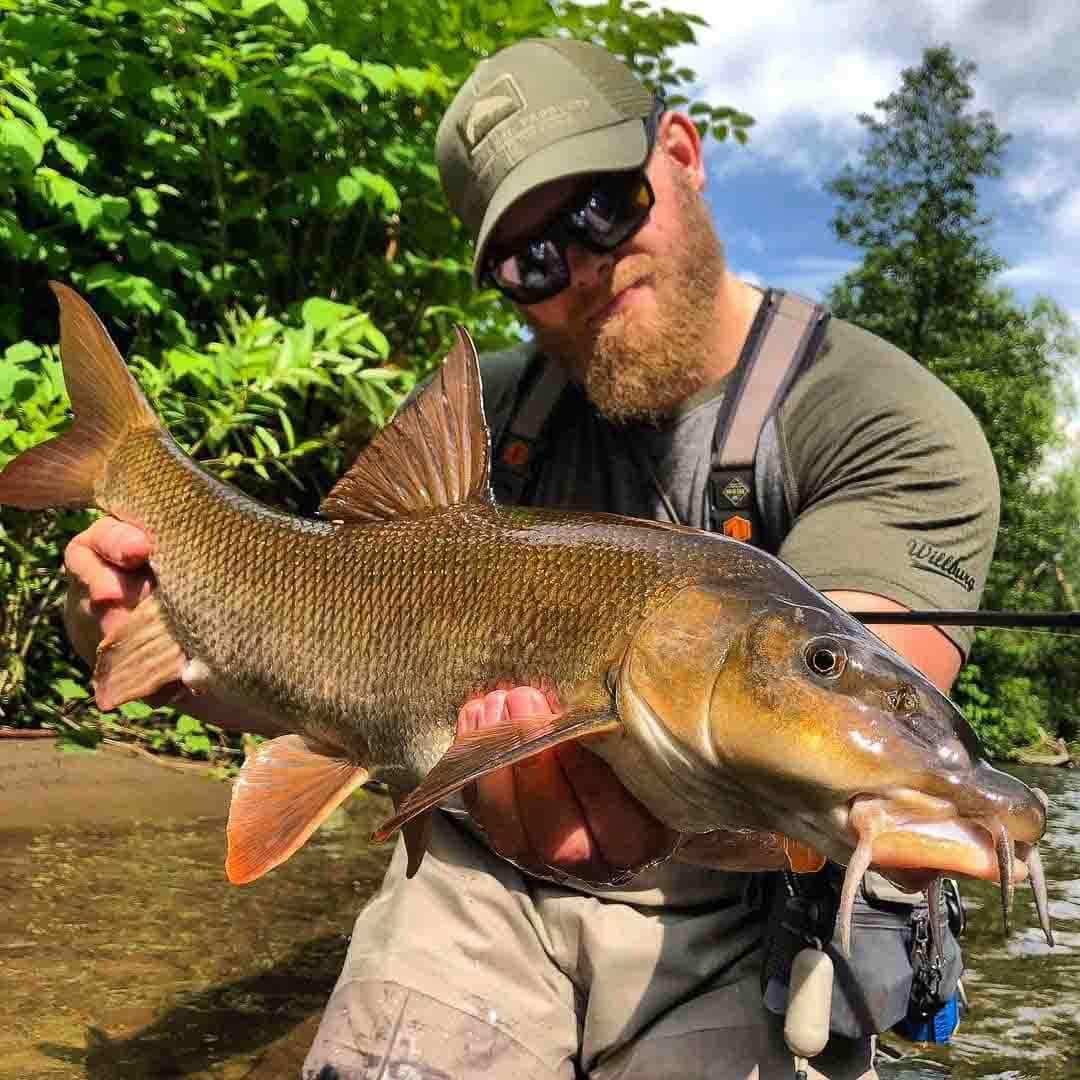 Adams MAX Black 10.5' 3wt Fly Rod in action