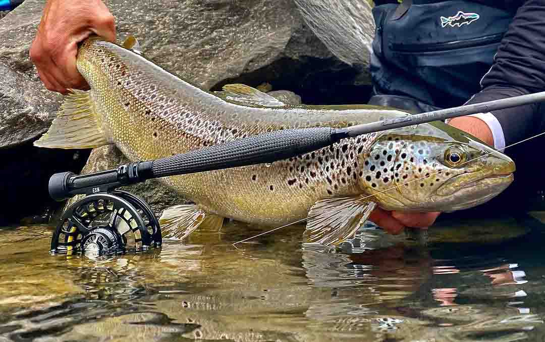 Adams MAX Black 10.5' 3wt Fly Rod in action