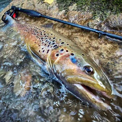 Adams MAX Black 10.5' 3wt Fly Rod in action