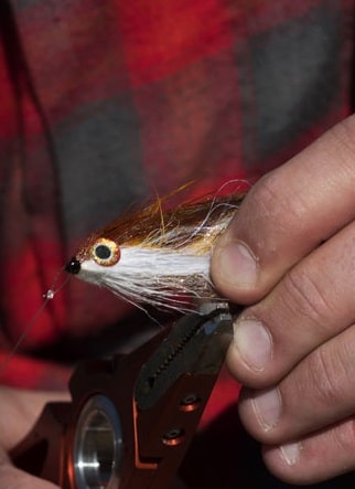 Ahrex TP610 Trout Predator Streamer Hooks