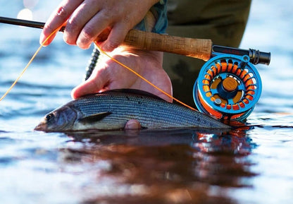 Alfa ARCTIC Reels - Petrol Blue