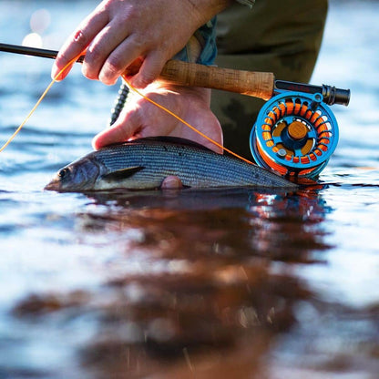 Alfa ARCTIC Reels - Petrol Blue