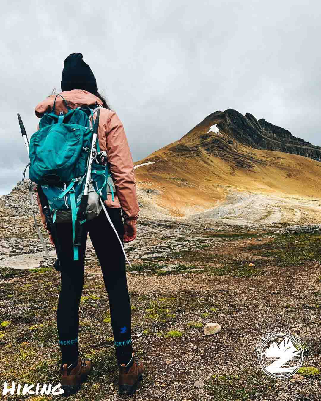 Backcountry Skinz Mid Length Waterproof Socks - Black