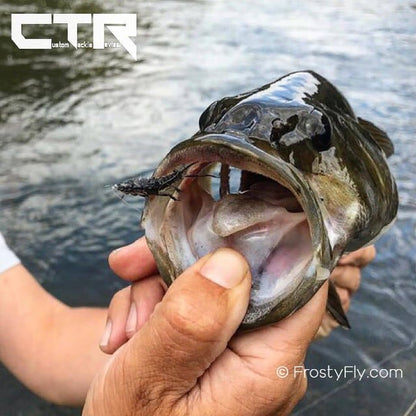 Bass caught with a realistic stonefly nymph pattern