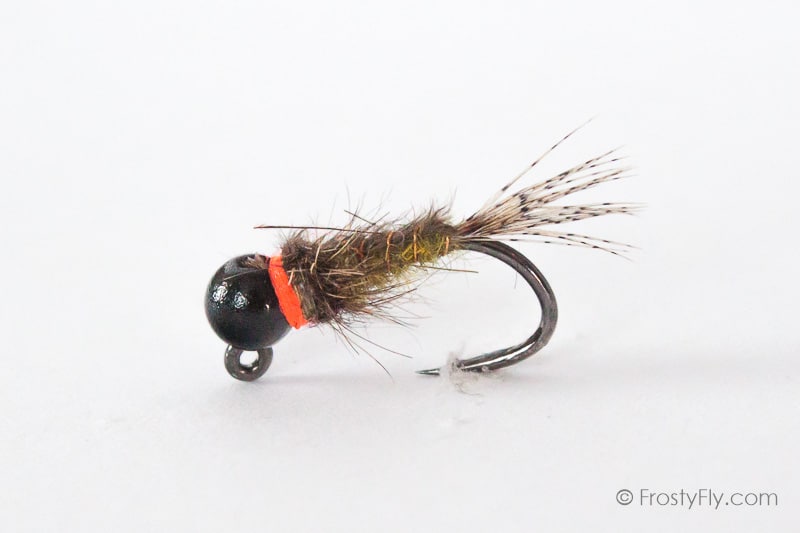 Black & Olive Jig Nymph HS