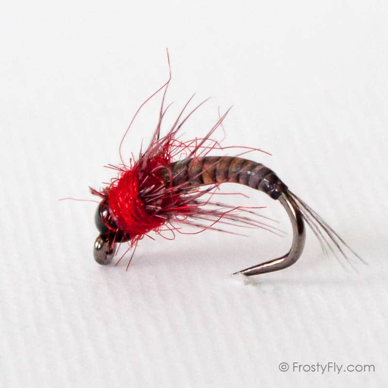 Black & Red Quill Barbless Nymph