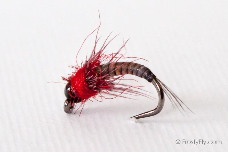 Black & Red Quill Barbless Nymph