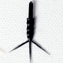 Realistic Mayfly Nymph Body with Tails