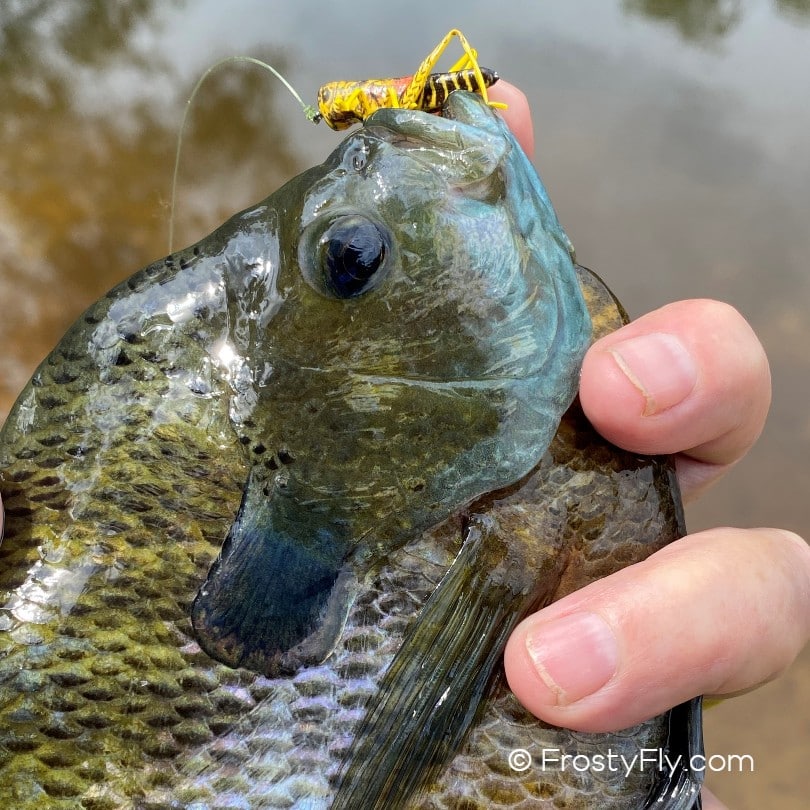 Realistic hoppers are deadly