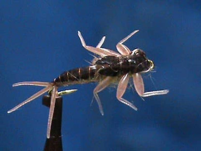Brown Mayfly Nymph by Jim Misiura tied with Realistic Mayfly Nymph Body with Tails