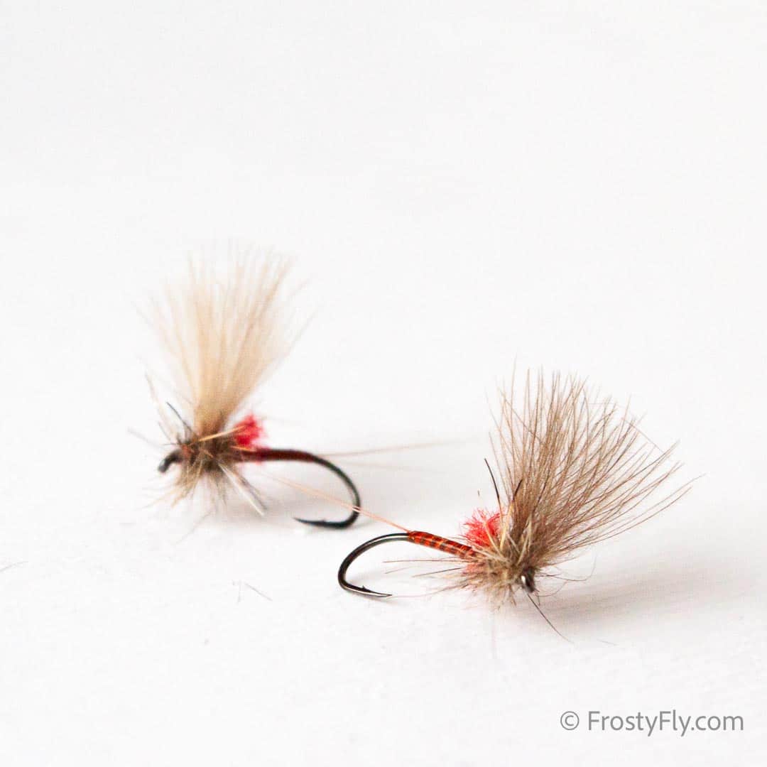 CDC Quill Mayfly - Mahogany Quill