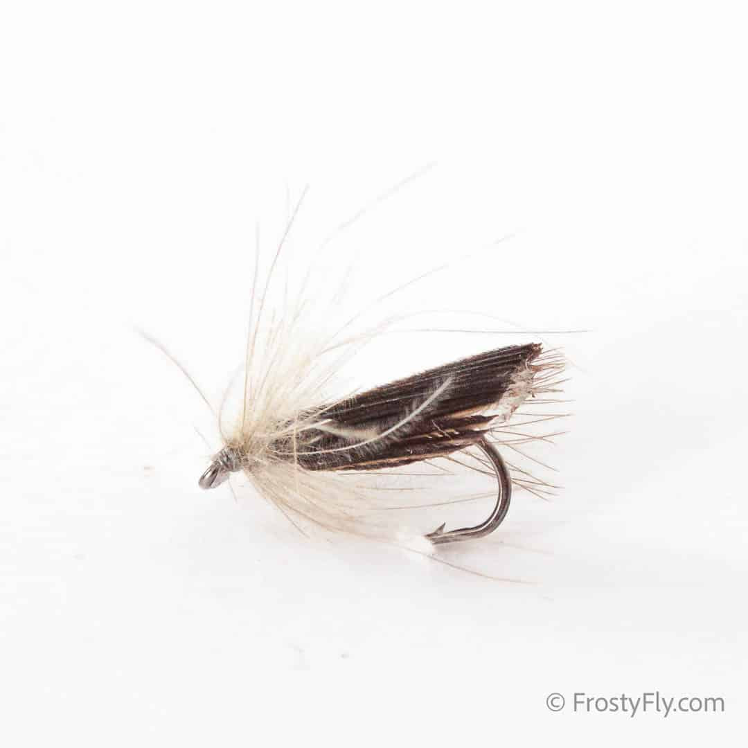 CDC Winged Caddis Fly - Brown