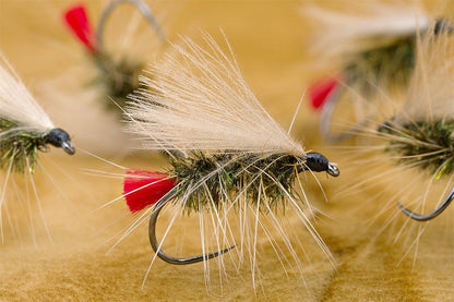 Caddis Palmered Red Tag Dry Fly tied with Peacock Herl