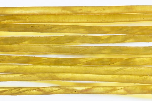 Catgut Biothread - Fluo Yellow