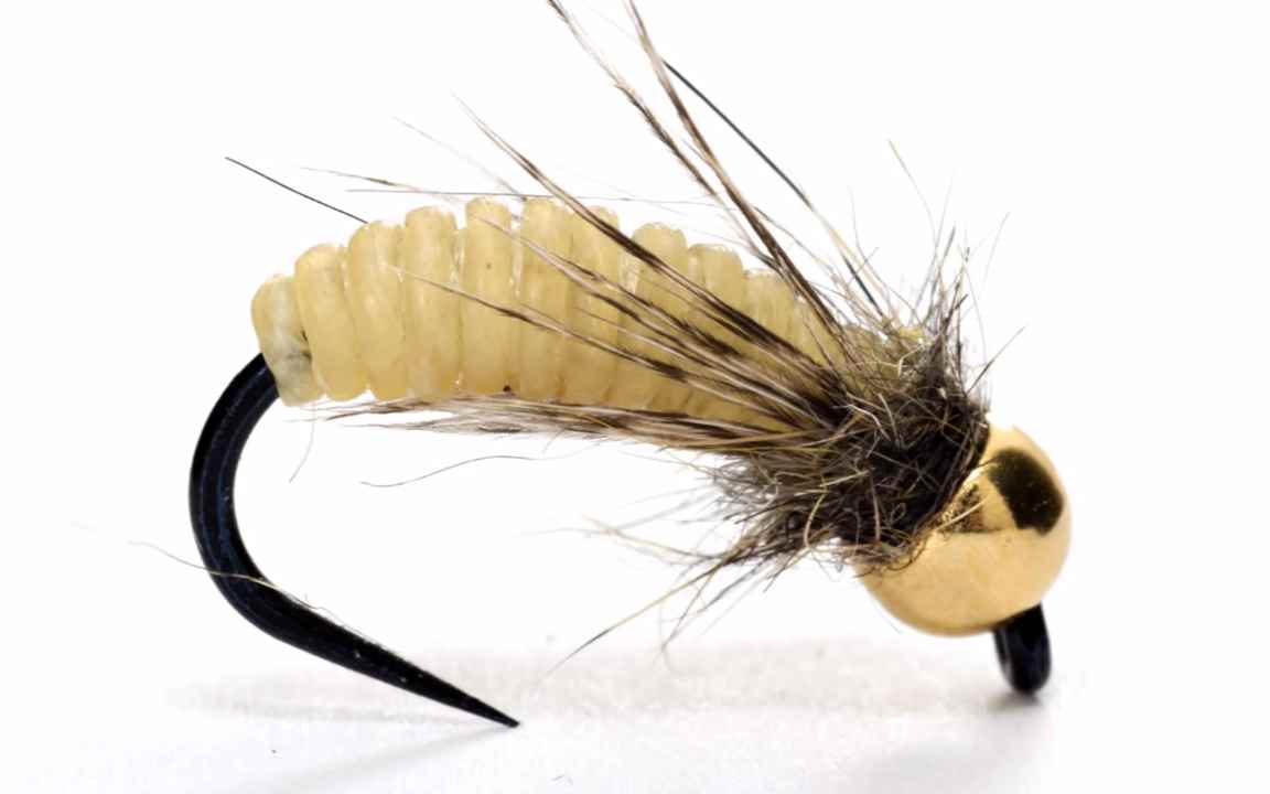 Catgut Caddis Pupa