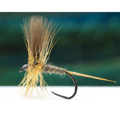 Catskill Light Blue Dun CDC Wings