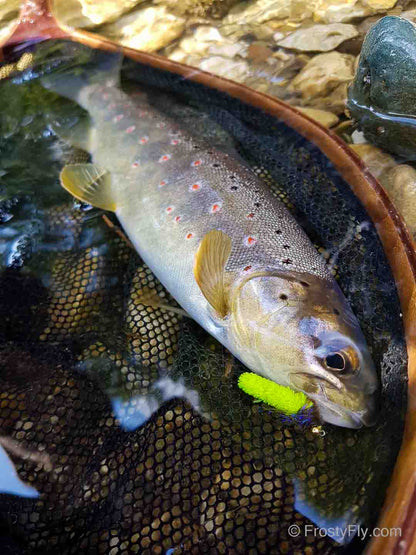 Tungsten Mop Fly in action