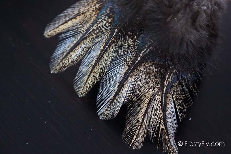 Coq de Leon Colgaderas Feathers - Corzuno Medio