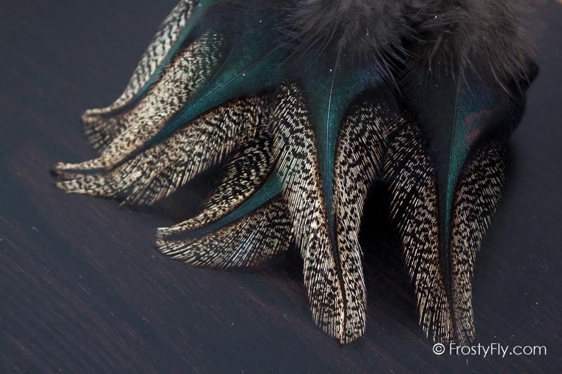 Coq de Leon Colgaderas Feathers