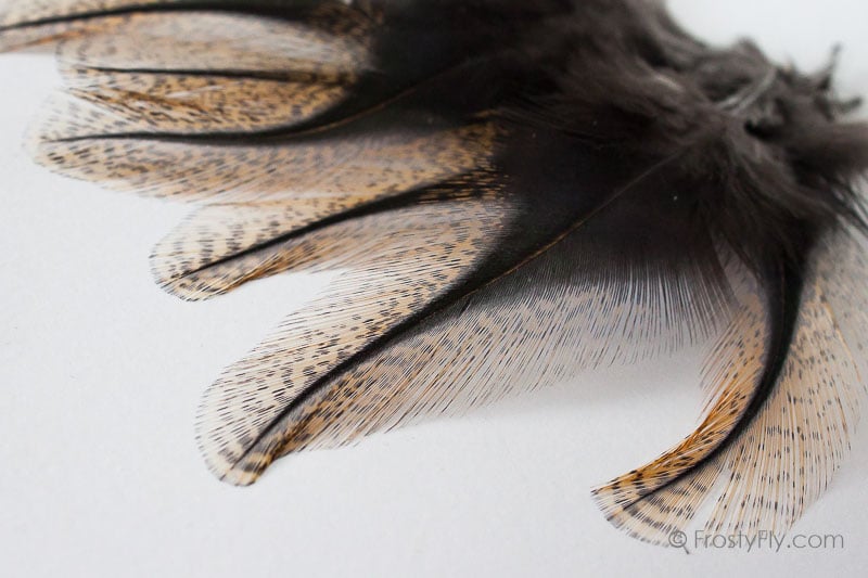 Coq de Leon Colgaderas Feathers - Flor de Escoba