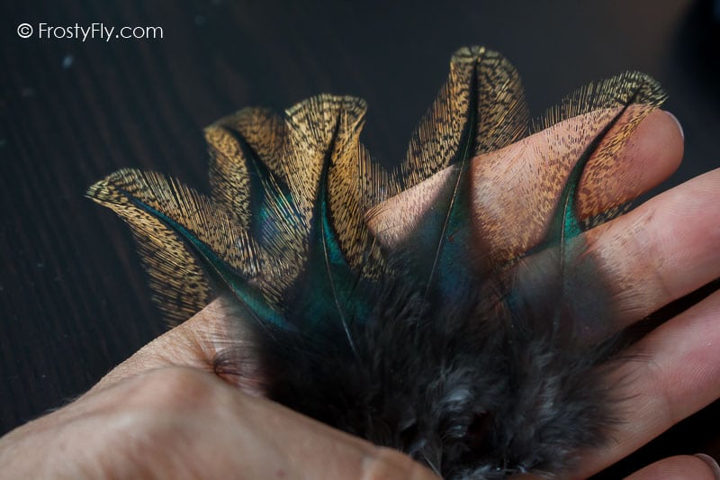 Coq de Leon Colgaderas Feathers - Flor de Escoba