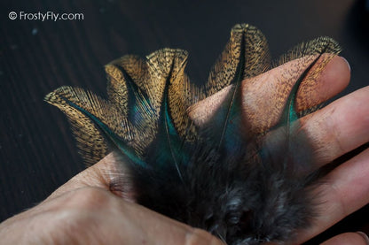 Coq de Leon Colgaderas Feathers - Flor de Escoba