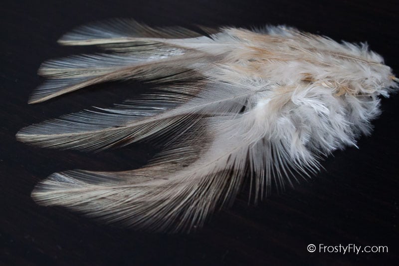 Coq de Leon Colgaderas Feathers