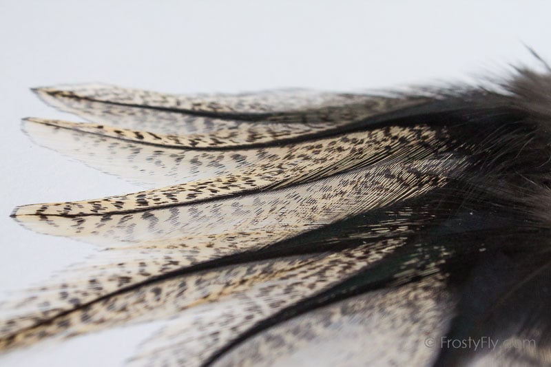 Coq de Leon Colgaderas Feathers - Flor de Escoba