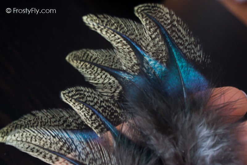 Coq de Leon Colgaderas Feathers - Langareto de Verano