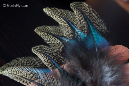 Coq de Leon Colgaderas Feathers - Langareto de Verano