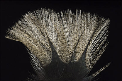 Coq de Leon Colgaderas Feathers - Pardo Flor de Escoba