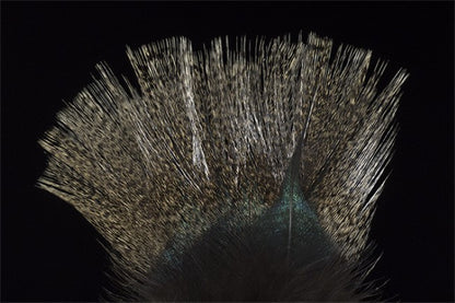 Coq de Leon Colgaderas Feathers - Pardo Corzuno Claro