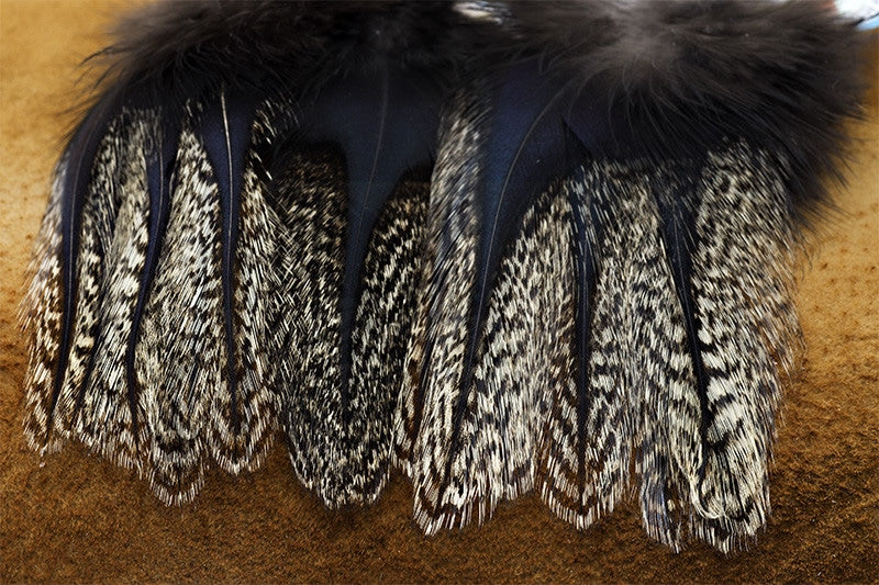 Coq de Leon Colgaderas Feathers - Pardo Corzuno Oscuro