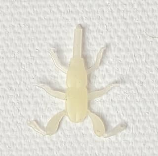 Realistic Soft Ephemera Danica Nymph Legs