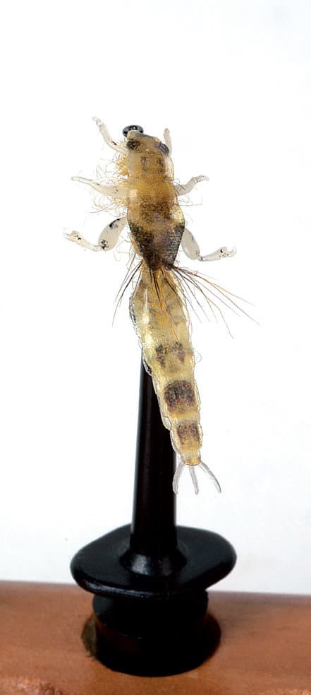 Ephemera Danica Nymph 2